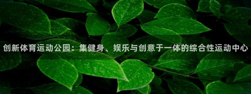 熊猫体育公园