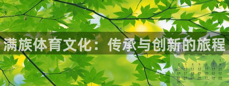 动感熊猫体育公园：满族体育文化：传承与创新的旅程