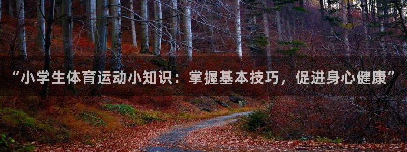 动感熊猫体育公园：“小学生体育运动小知识：掌握基本技巧，促进身心健康”