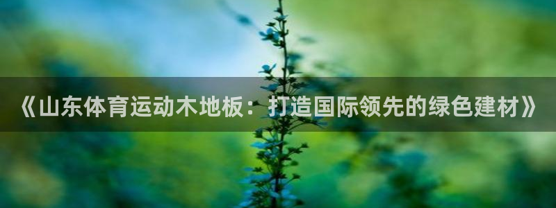 熊猫体育免费下载：《山东体育运动木地板：打造国际领先的绿色建材》