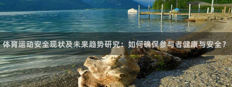 熊猫体育公园价格：体育运动安全现状及未来趋势研究：如何确保参与者健康与安全？