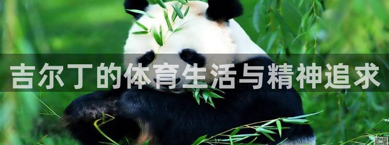 熊猫体育网站：吉尔丁的体育生活与精神追求