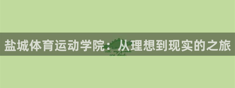 熊猫体育直播nba：盐城体育运动学院：从理想到现实的之旅