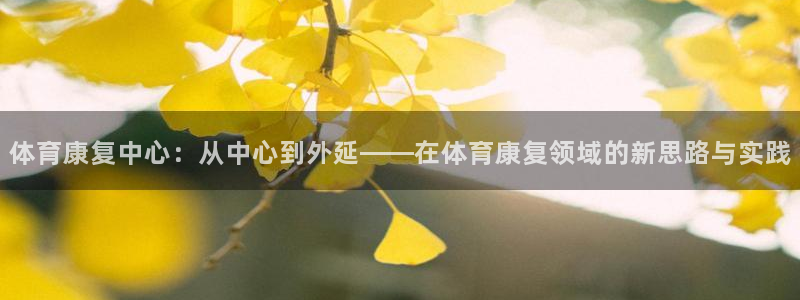 181熊猫体育：体育康复中心：从中心到外延——在体育康复领域的新思路与实践