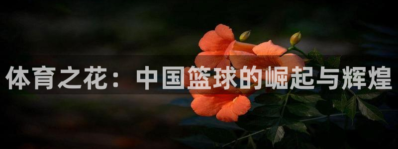 熊猫体育直播nba