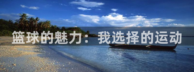 熊猫体育app官网入口：篮球的魅力：我选择的运动
