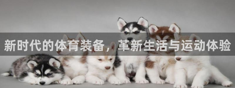 熊猫体育在线：新时代的体育装备，革新生活与运动体验